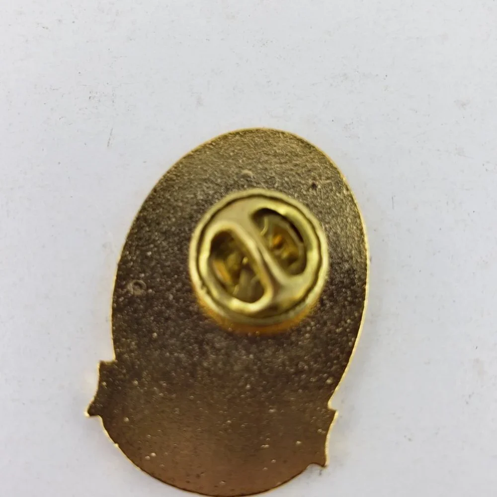 Lions Club Roam to the Dome 1994 Harrisburg PA Dist 14-T Pin